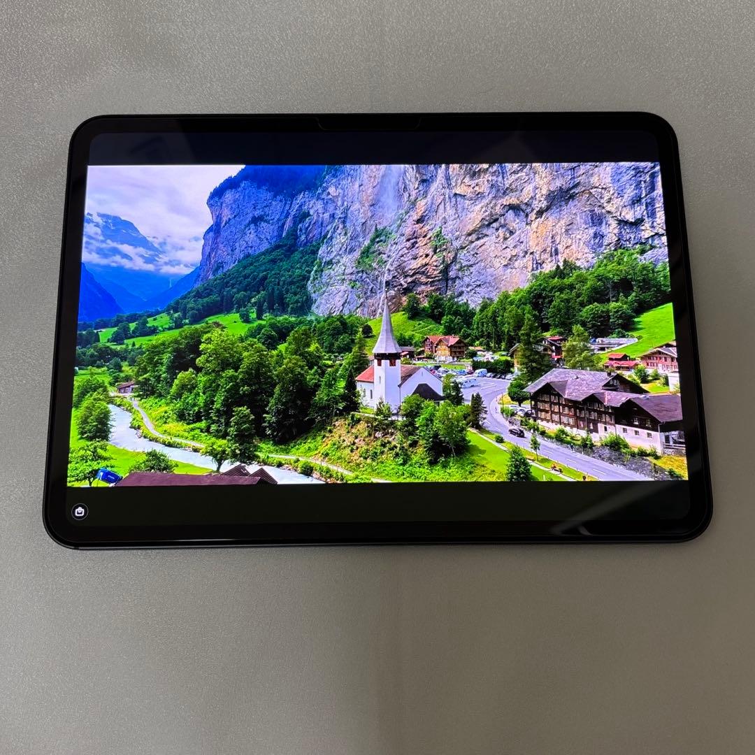 ぶ*ち様 M4 iPad Pro 11インチ WiFi 256GB スペースブラ