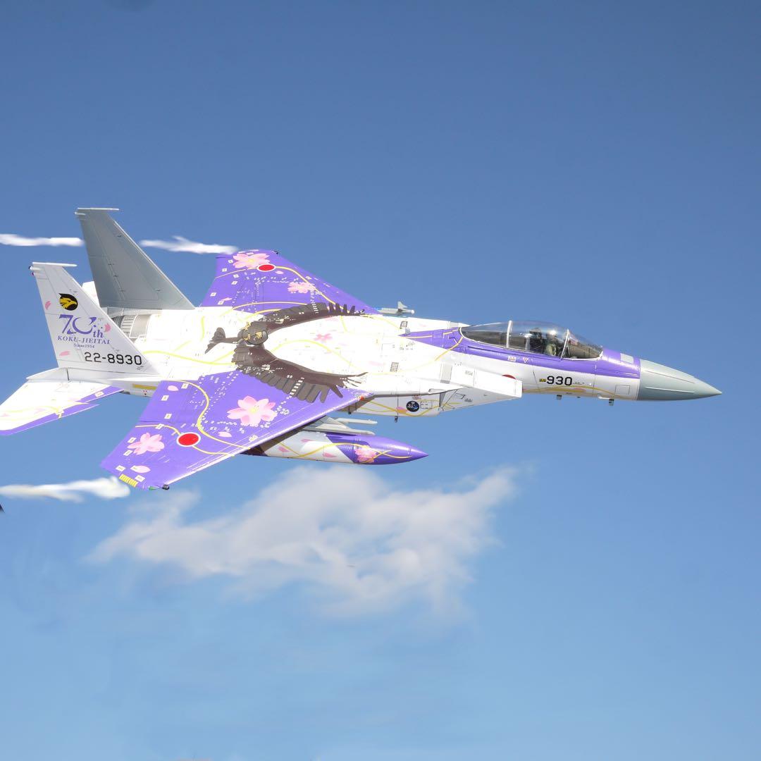 プラッツ製航空自衛隊F-15Jイーグル　プラモデル完成品