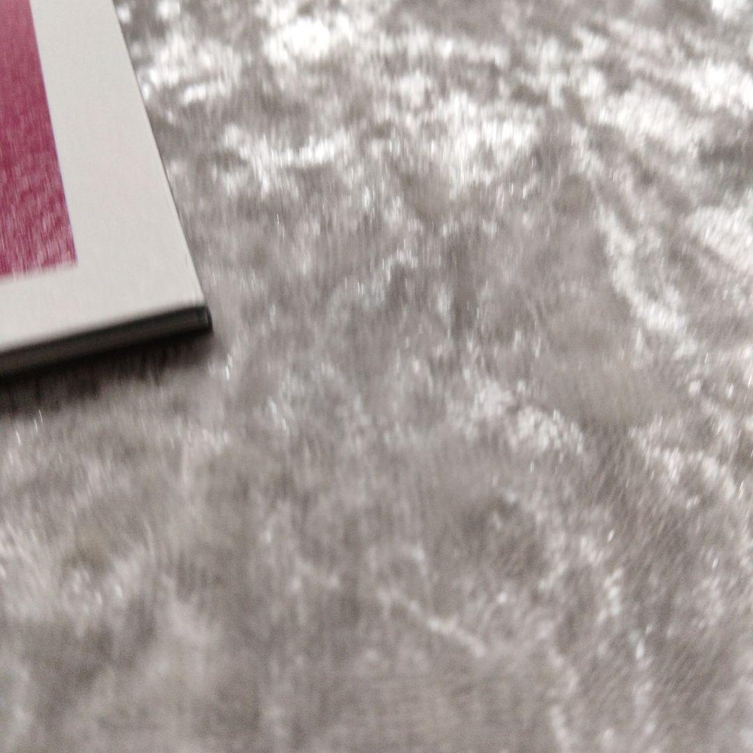 BUCK-TICK　パンフレット？