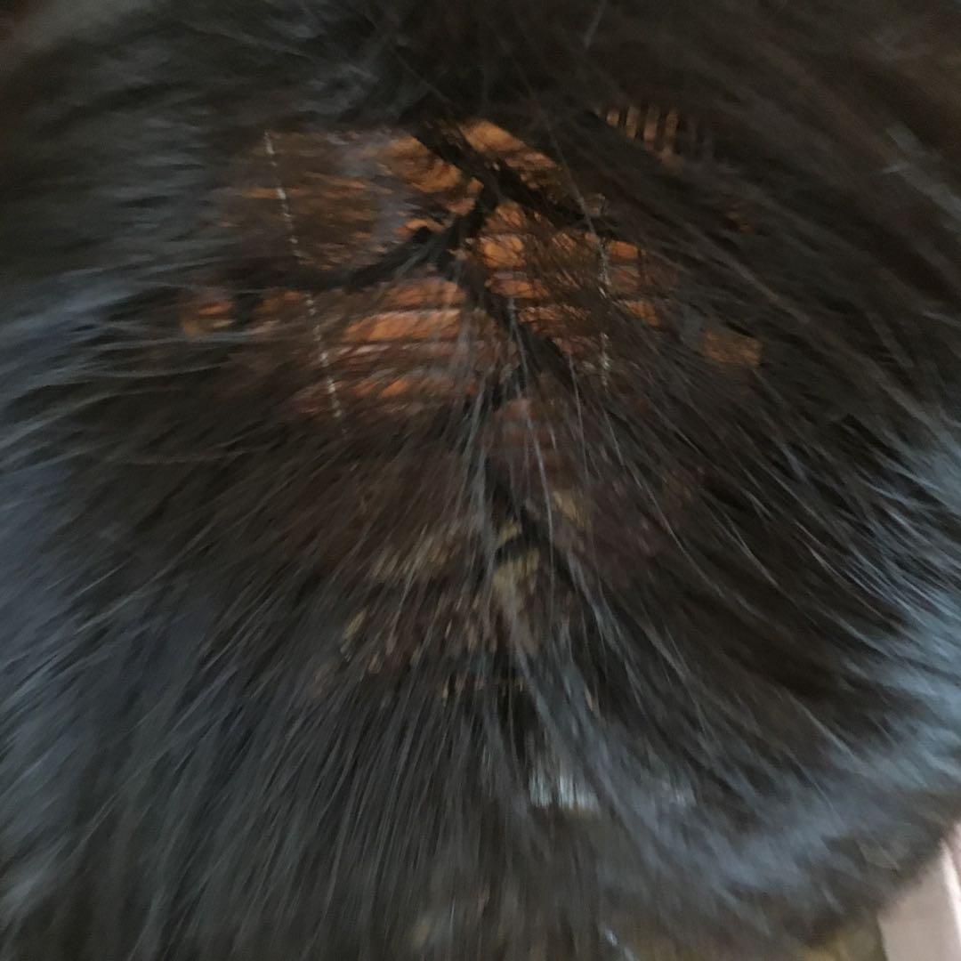 ぼむぼむ。 新品未使用　レオンカ トップピース　SF-T78.