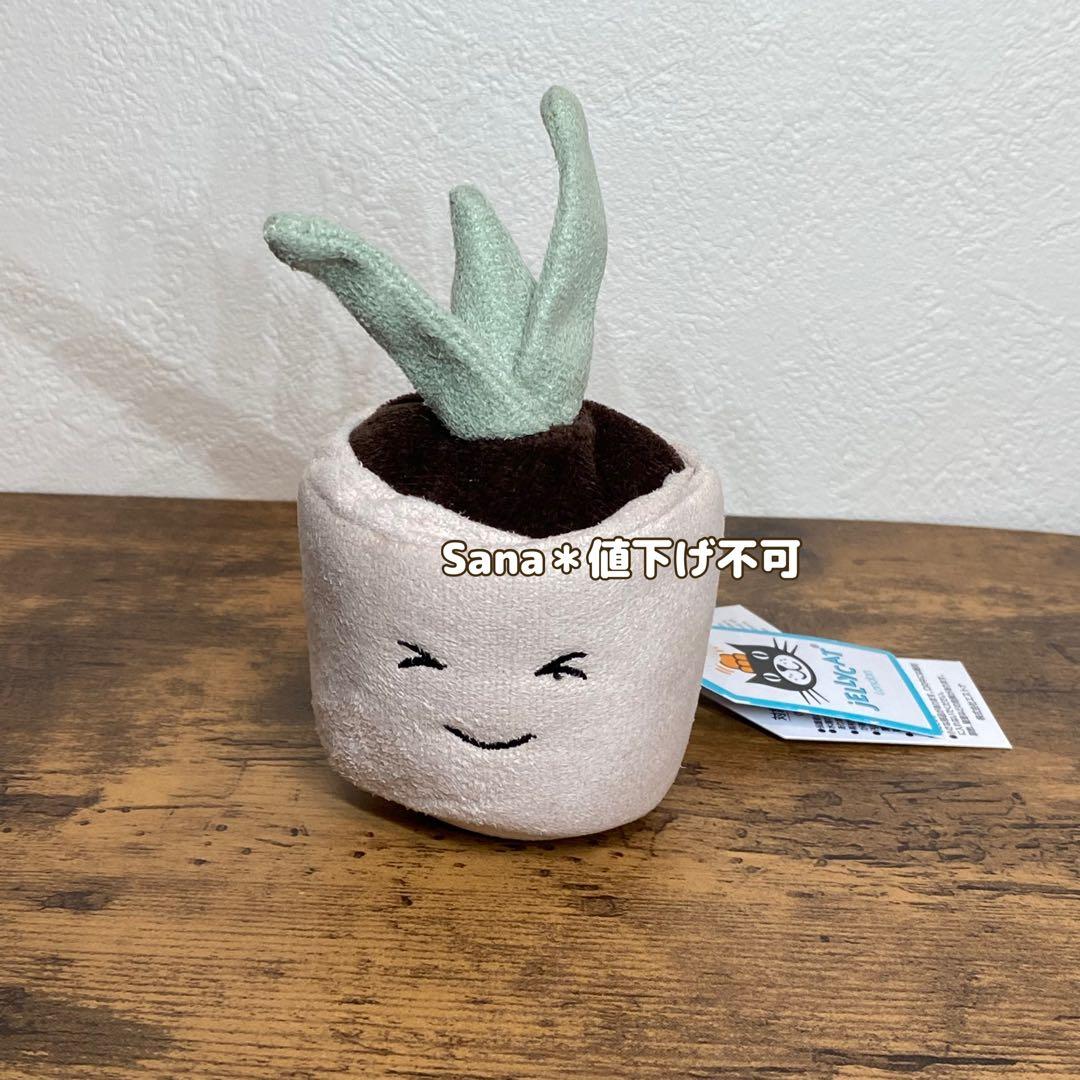 廃盤　新品タグ付き　ジェリーキャット　植物　観葉植物　鉢植え　ポット　芽　笑顔