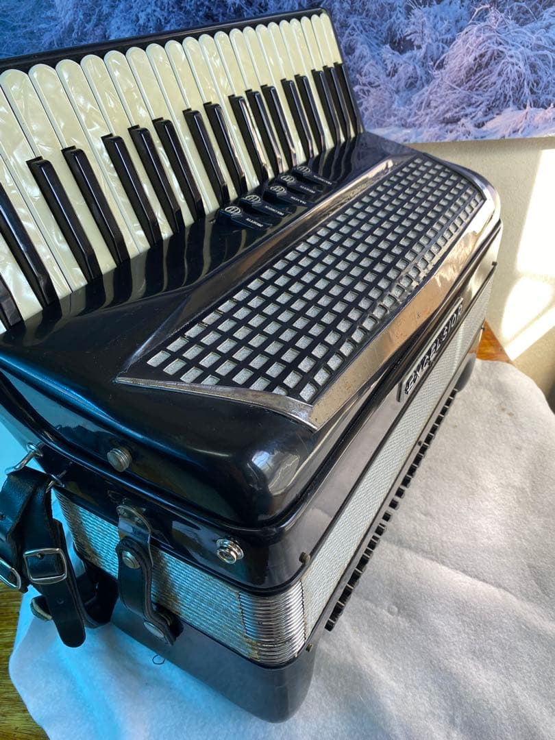 庭*修様 EXCELSIOR アコーディオン41鍵120B hz 443定評のグ