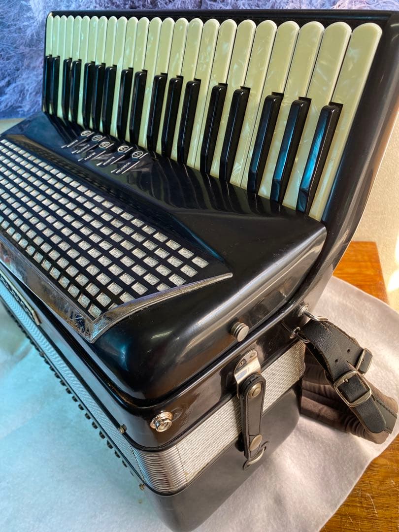 庭*修様 EXCELSIOR アコーディオン41鍵120B hz 443定評のグ