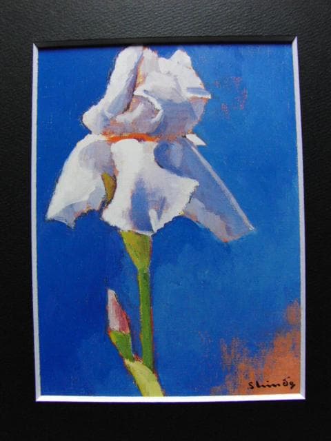 進藤蕃、ジャーマンアイリス、希少画集画、新品高級額・額装付