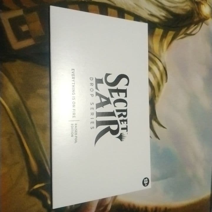 Everything is on Fire　RAISED　foil