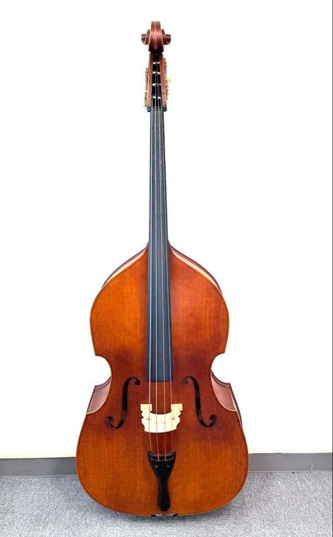 Hallstatt コントラバス WBS-800