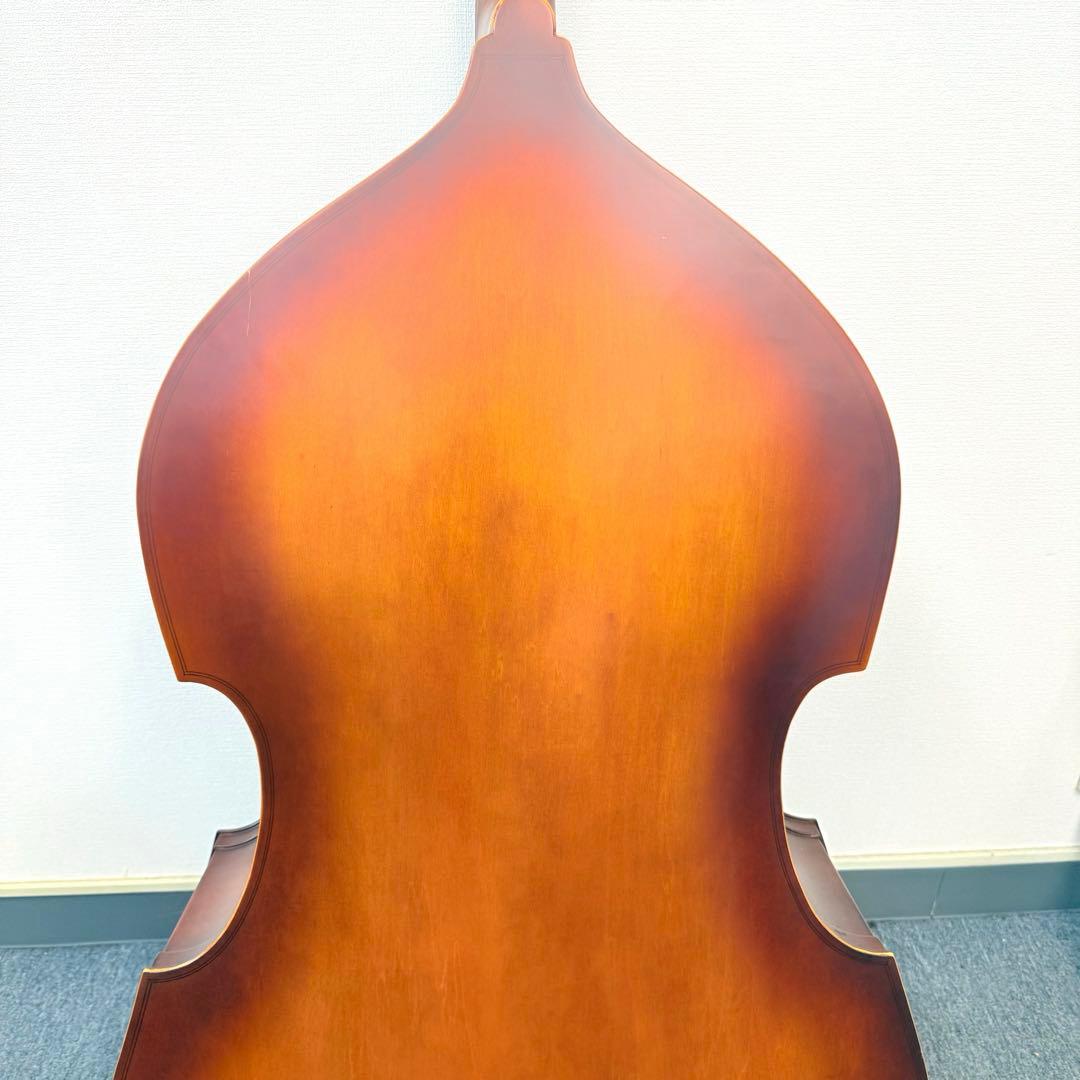 Hallstatt コントラバス WBS-800