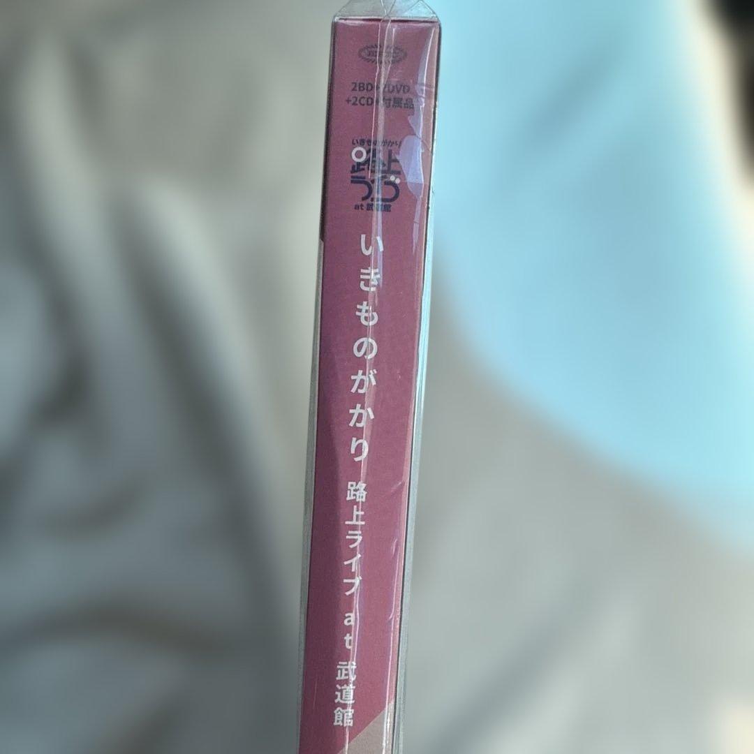 いきものがかり/路上ライブ at 武道館/いきものがかり meets 情熱大陸…