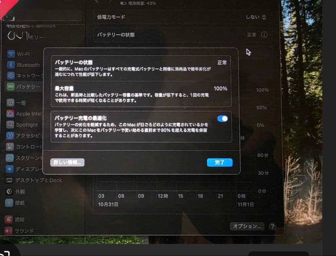MacBook Air ゴールド 充電回数17回