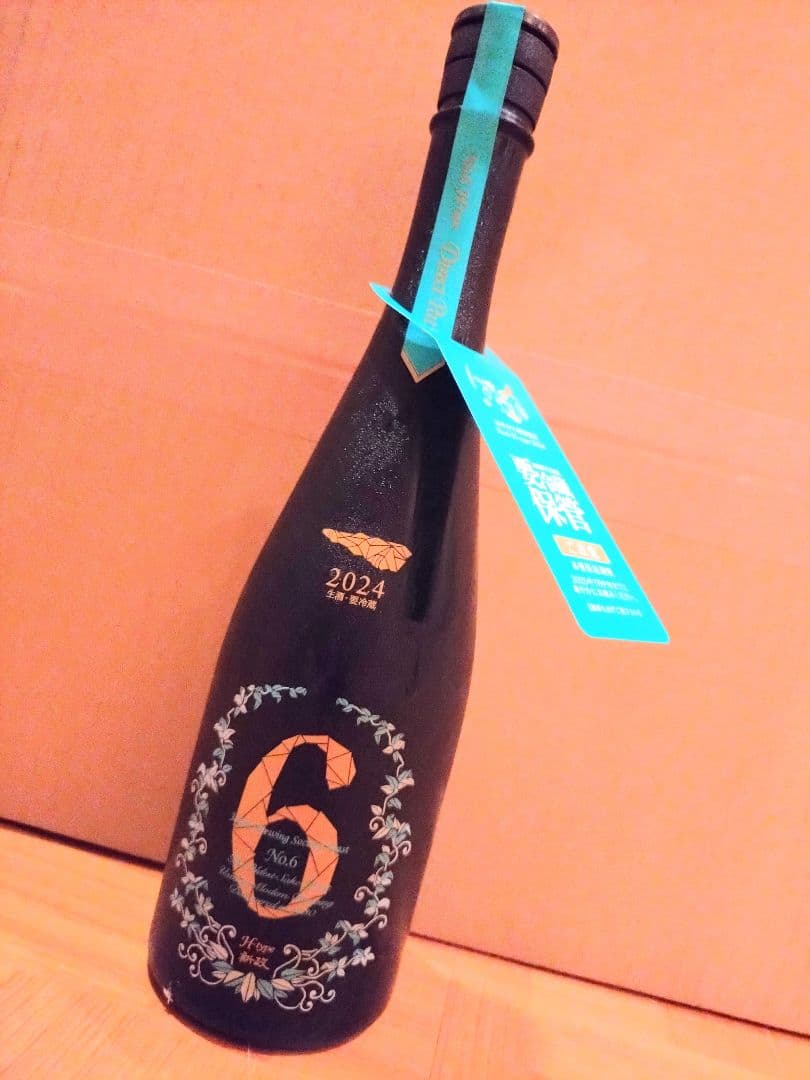 新政　No.6　H-type　2024