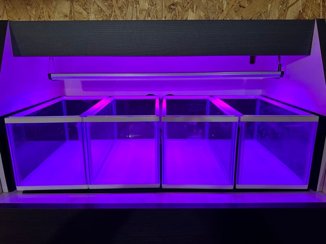 メダカマンション　3段タワー【受け取り限定】