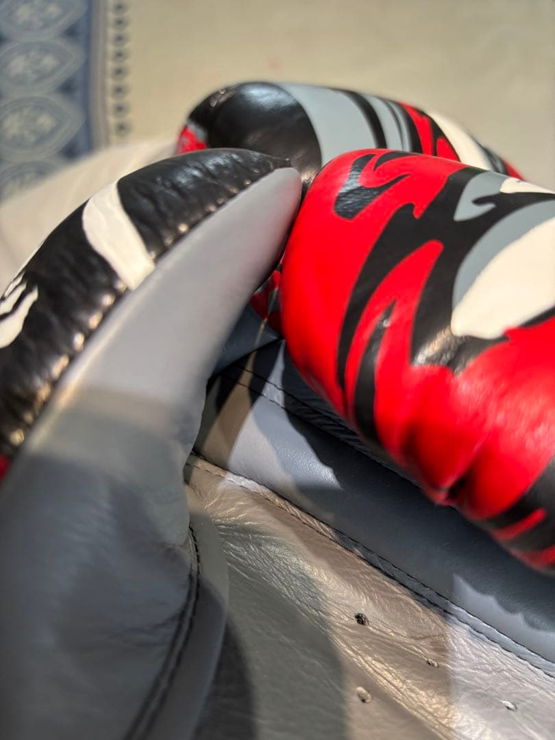 TWINS ボクシンググローブ 16 oz