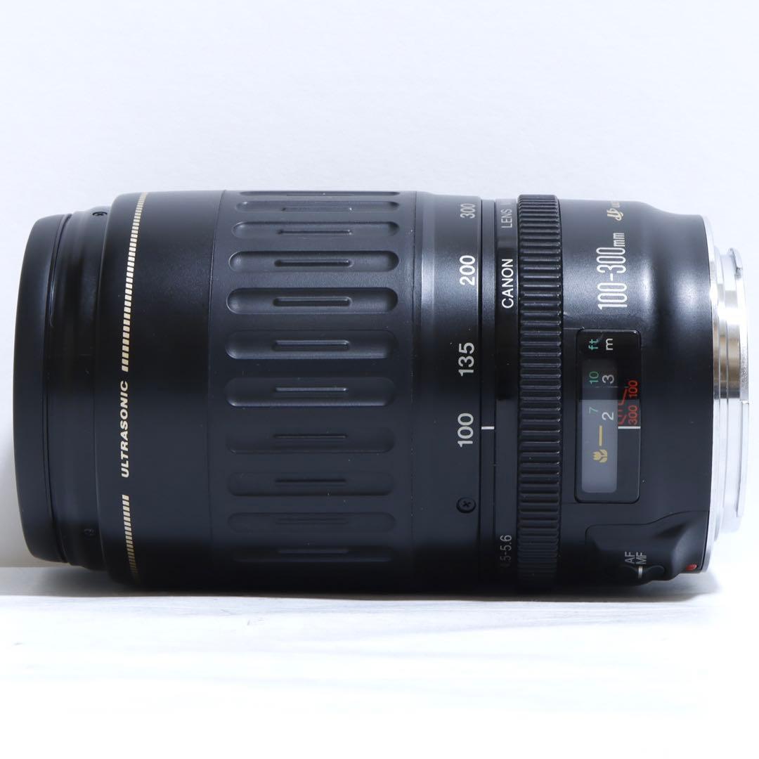 ◇ こぐま ◇ Canon純正 300mm 超望遠レンズ!!◇