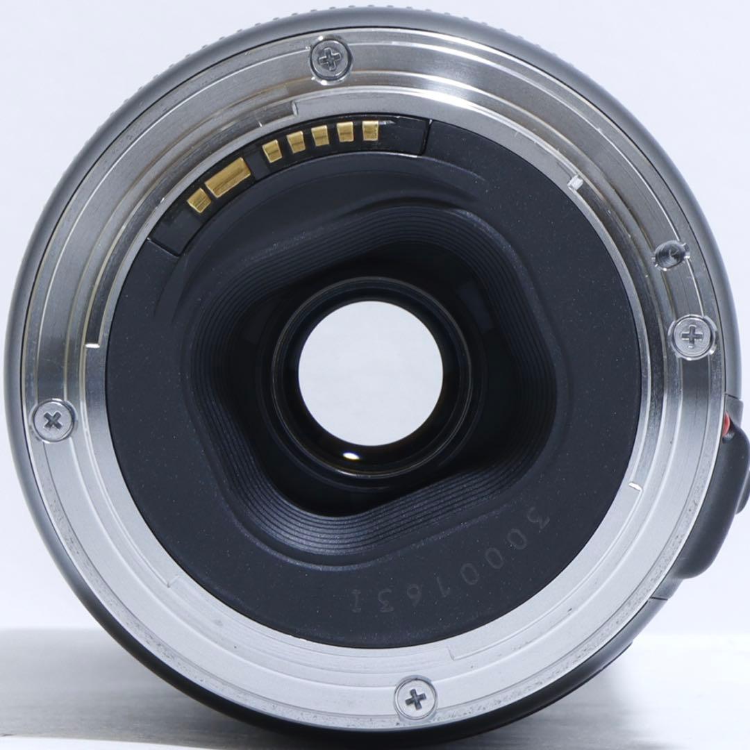 ◇ こぐま ◇ Canon純正 300mm 超望遠レンズ!!◇