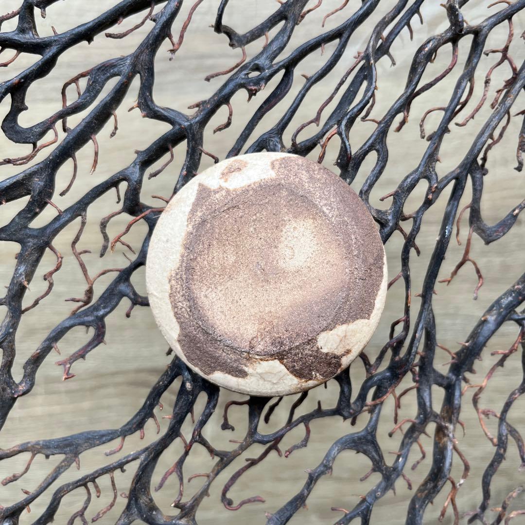 骨董　古陶　絵瀬戸　古瀬戸　希少　ブチ猫　眠り猫 図案　豆皿　手塩皿　小皿５客