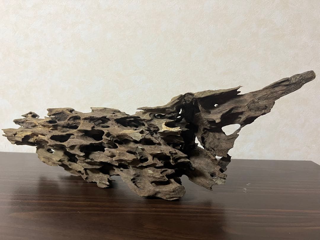 XM-456 流木　マシンガンウッド　アクアリウム　ブランチウッド　沈水確認済