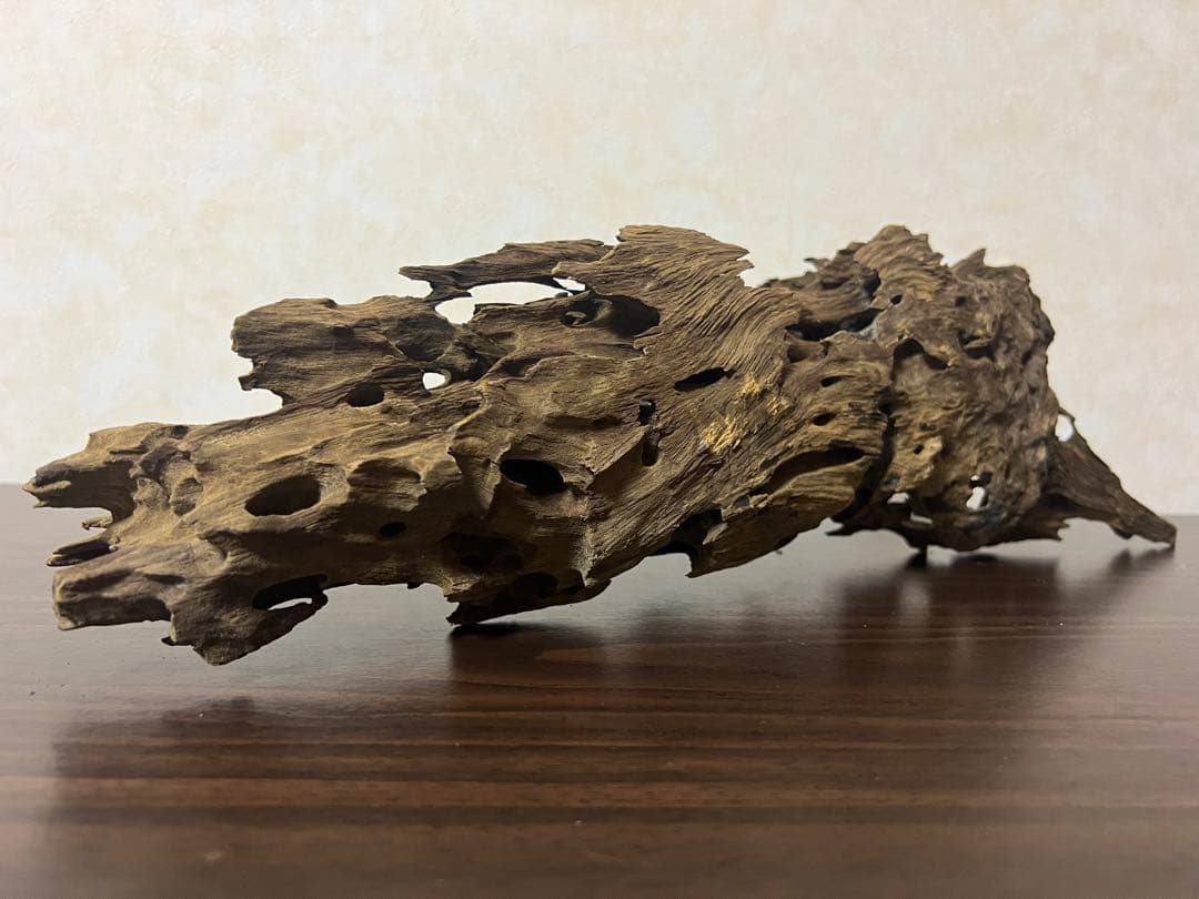 XM-456 流木　マシンガンウッド　アクアリウム　ブランチウッド　沈水確認済