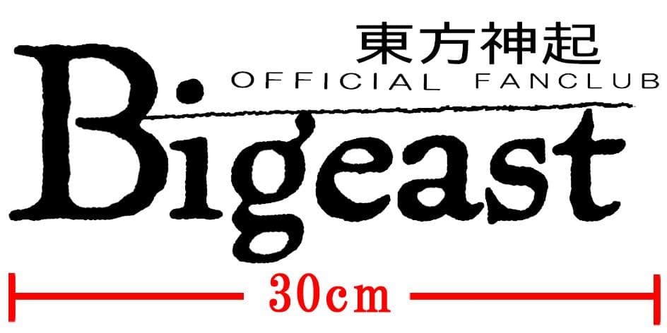 ここみ　Bigeastカッティング