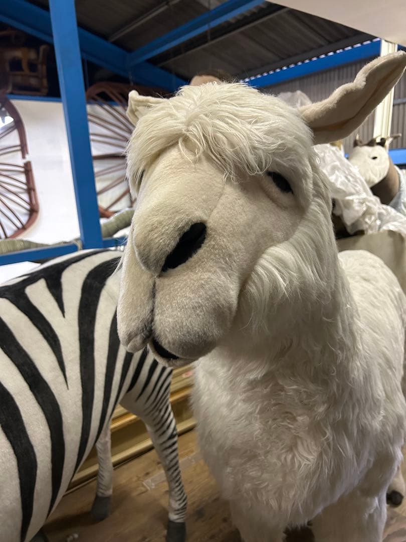 ハンサ アルパカ