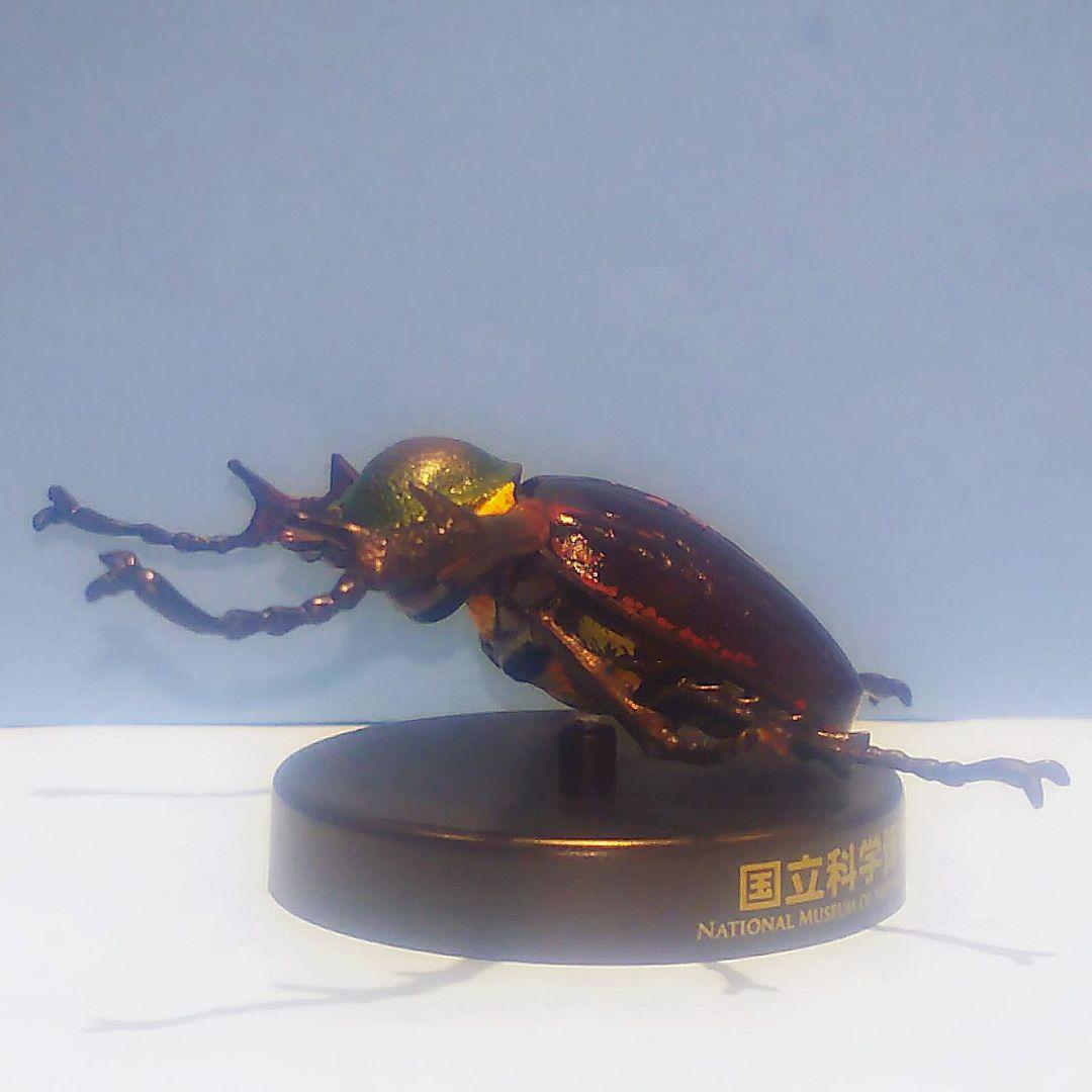 ヤンバルテナガコガネ 国立科学博物館