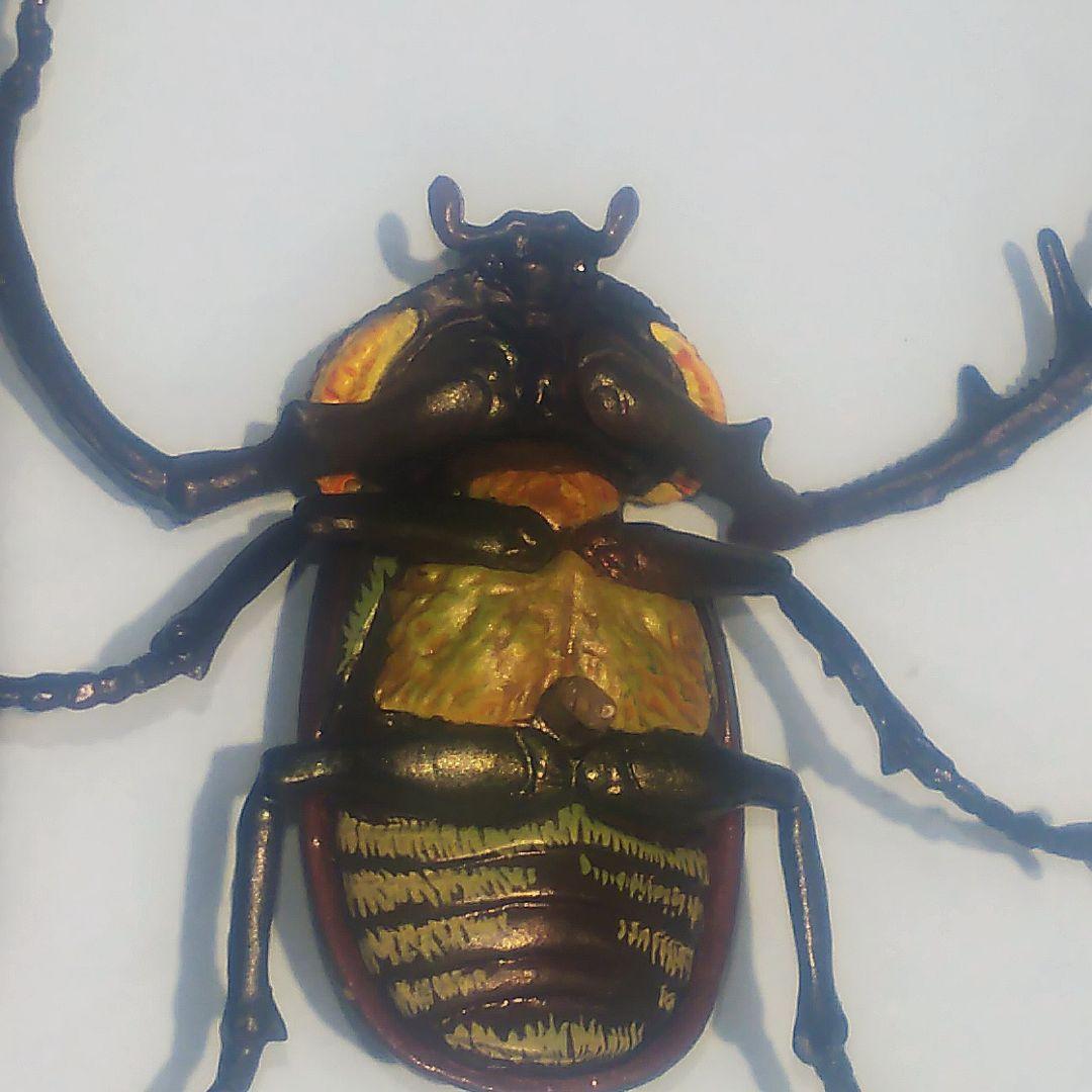 ヤンバルテナガコガネ 国立科学博物館