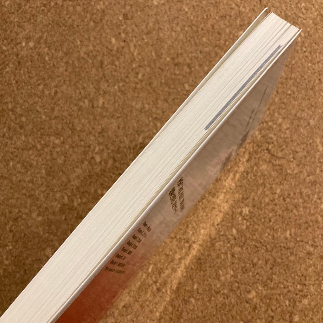 弱点克服 大学生の電磁気学　石川裕