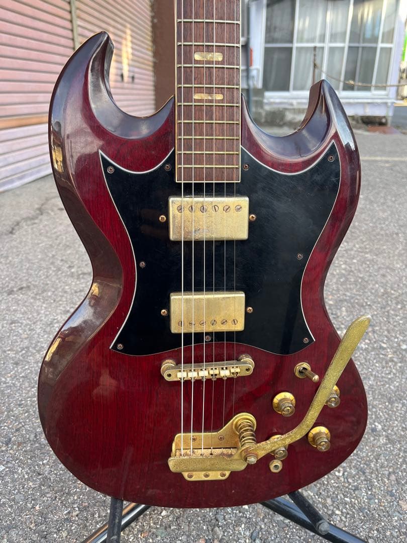 【Lake（レイク） 日本製 ビザールギター 長野ローカルブランド】