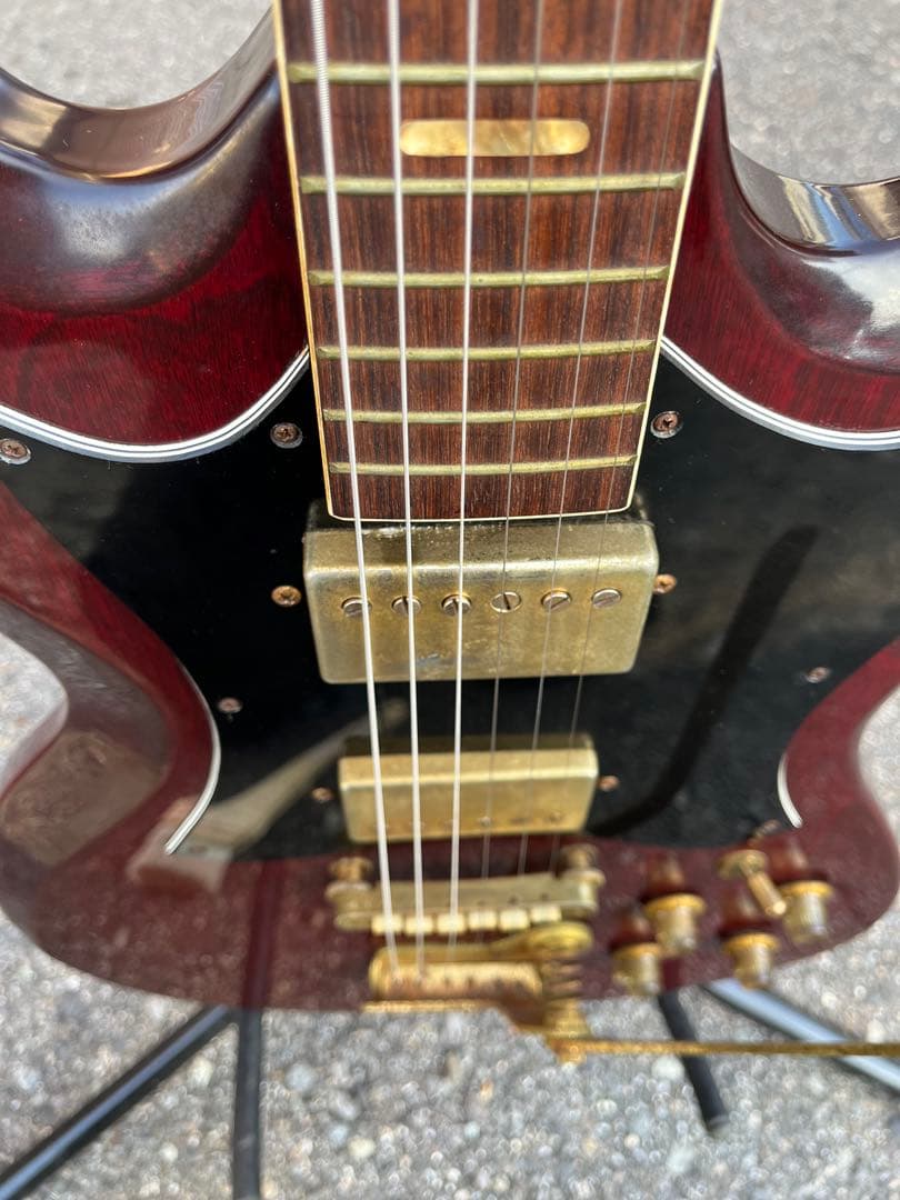 【Lake（レイク） 日本製 ビザールギター 長野ローカルブランド】