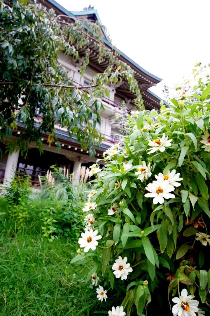 Nikon Ai AFZoom 18-35 f 3.5-4.5 D ED美品作例