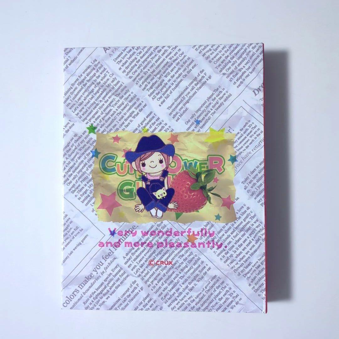 【 当時物 】平成レトロ プロフィール帳