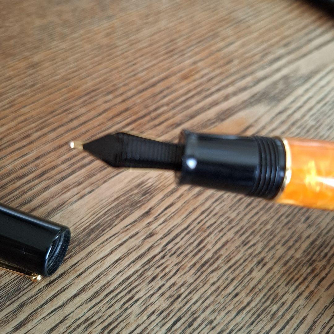 デルタ ドルチェビータ 20周年記念モデル 万年筆　ジャンク