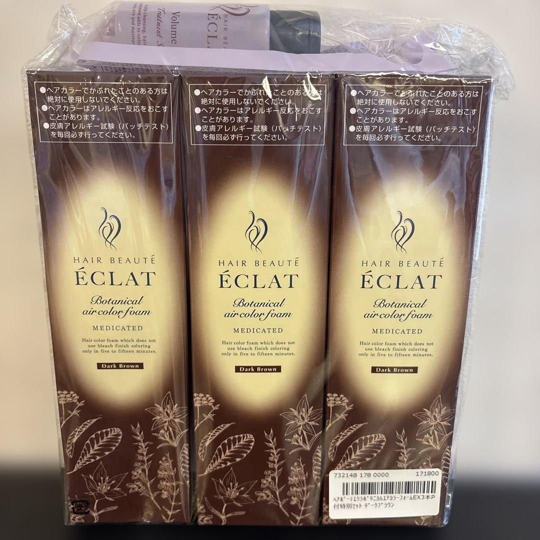 ÉCLAT ボタニカルエアカラー泡 ダークブラウン 3本セット