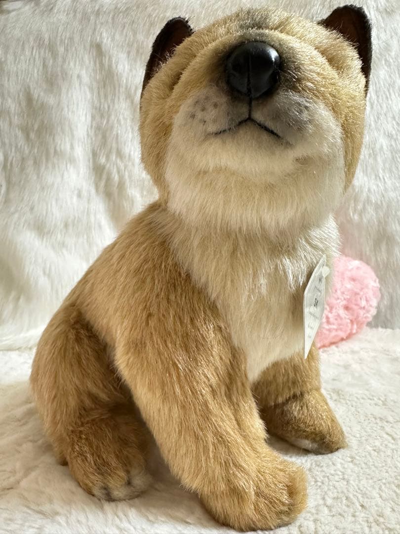 ☆希少！☆四季オリジナル☆柴犬☆ジロー　座り☆未使用