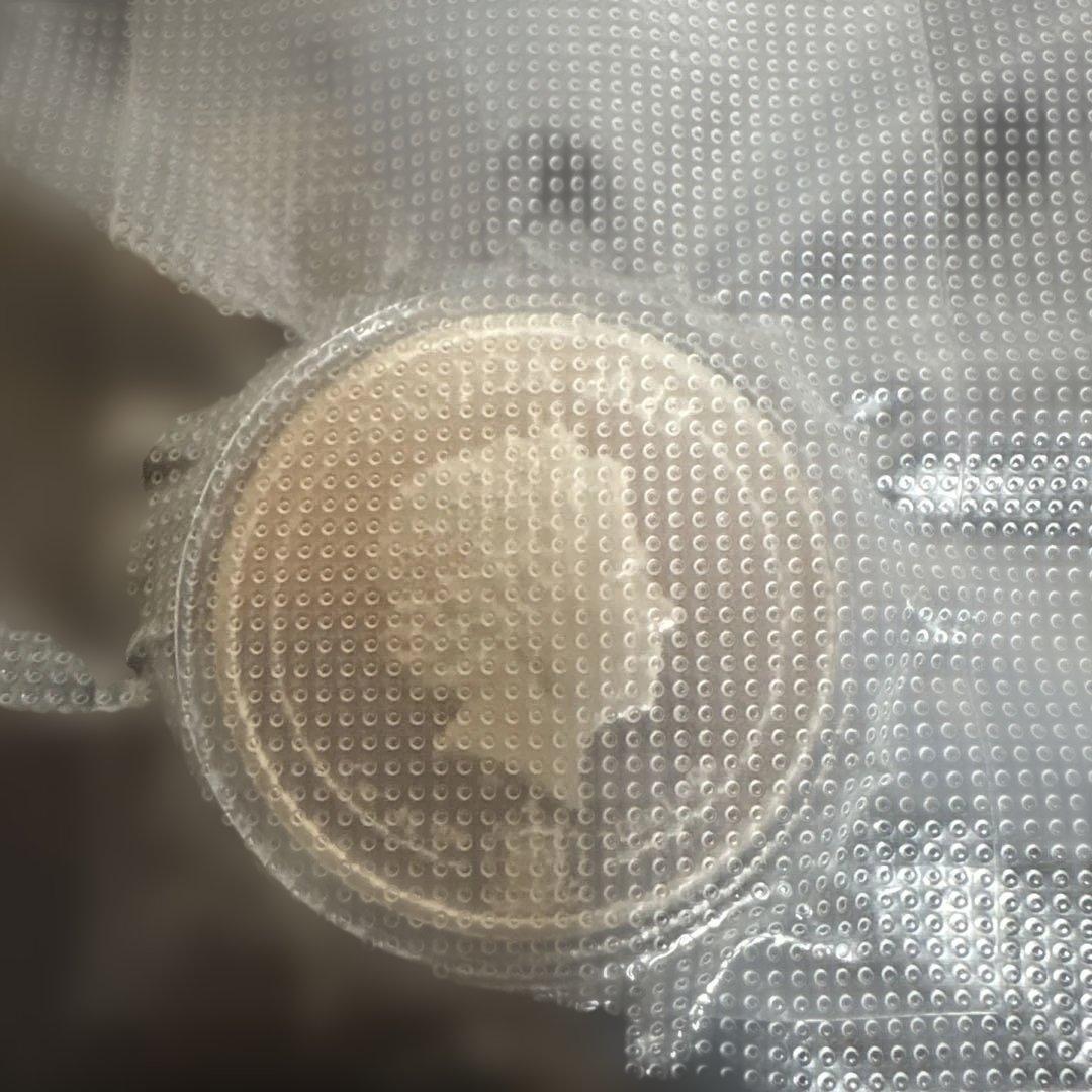 2023年　サモア　九尾の狐銀貨1オンス　カプセル付き