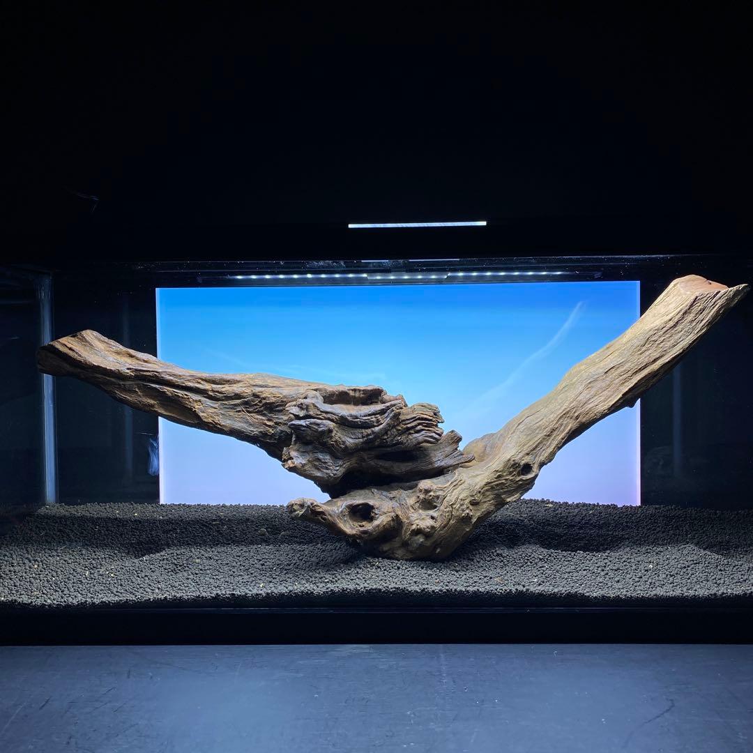 MRW-6332 特大自立赤系流木　アーチ流木　1点物　自立流木90cm水槽用