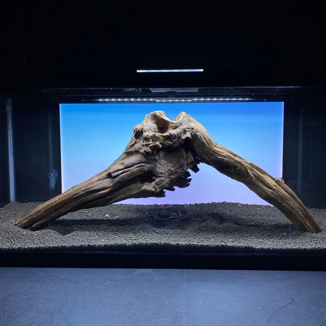 MRW-6332 特大自立赤系流木　アーチ流木　1点物　自立流木90cm水槽用