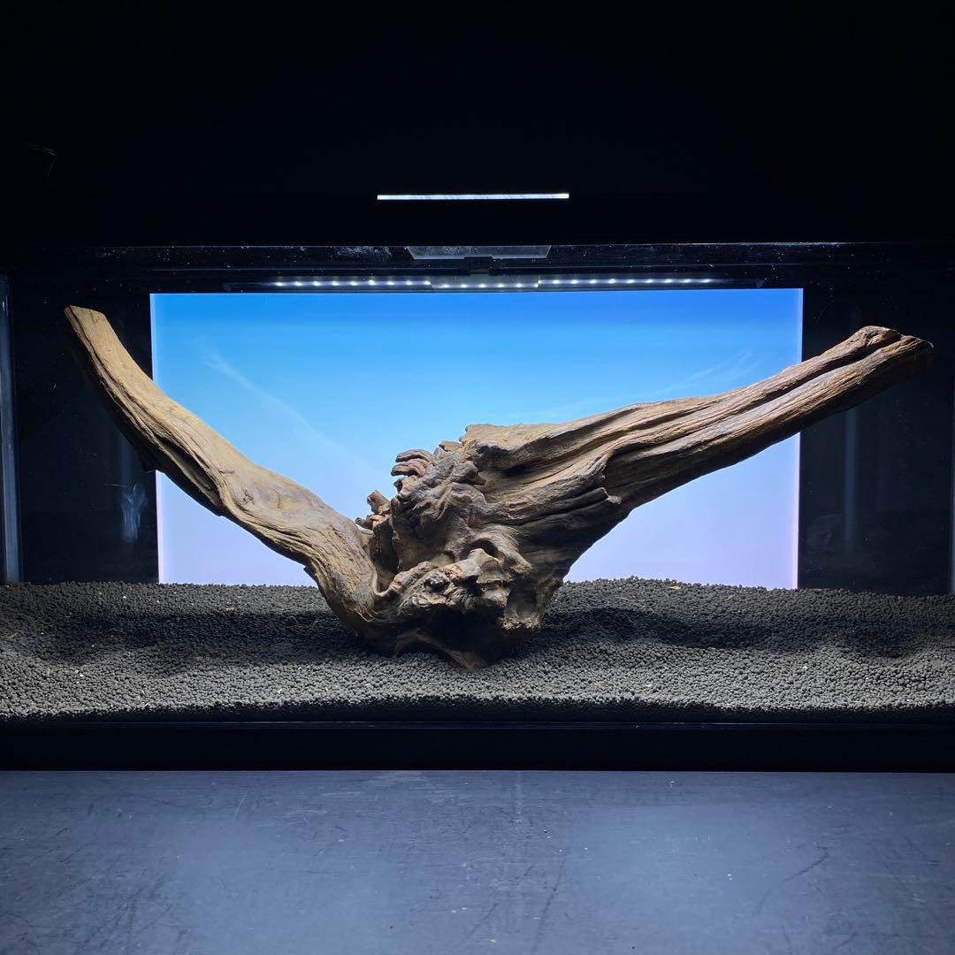 MRW-6332 特大自立赤系流木　アーチ流木　1点物　自立流木90cm水槽用