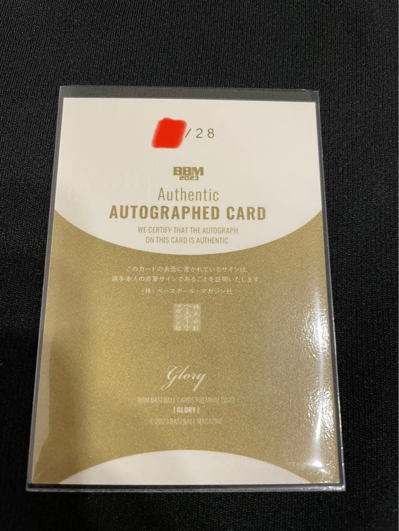 BBM2023 glory 中日　石川昂弥　直筆サインカード
