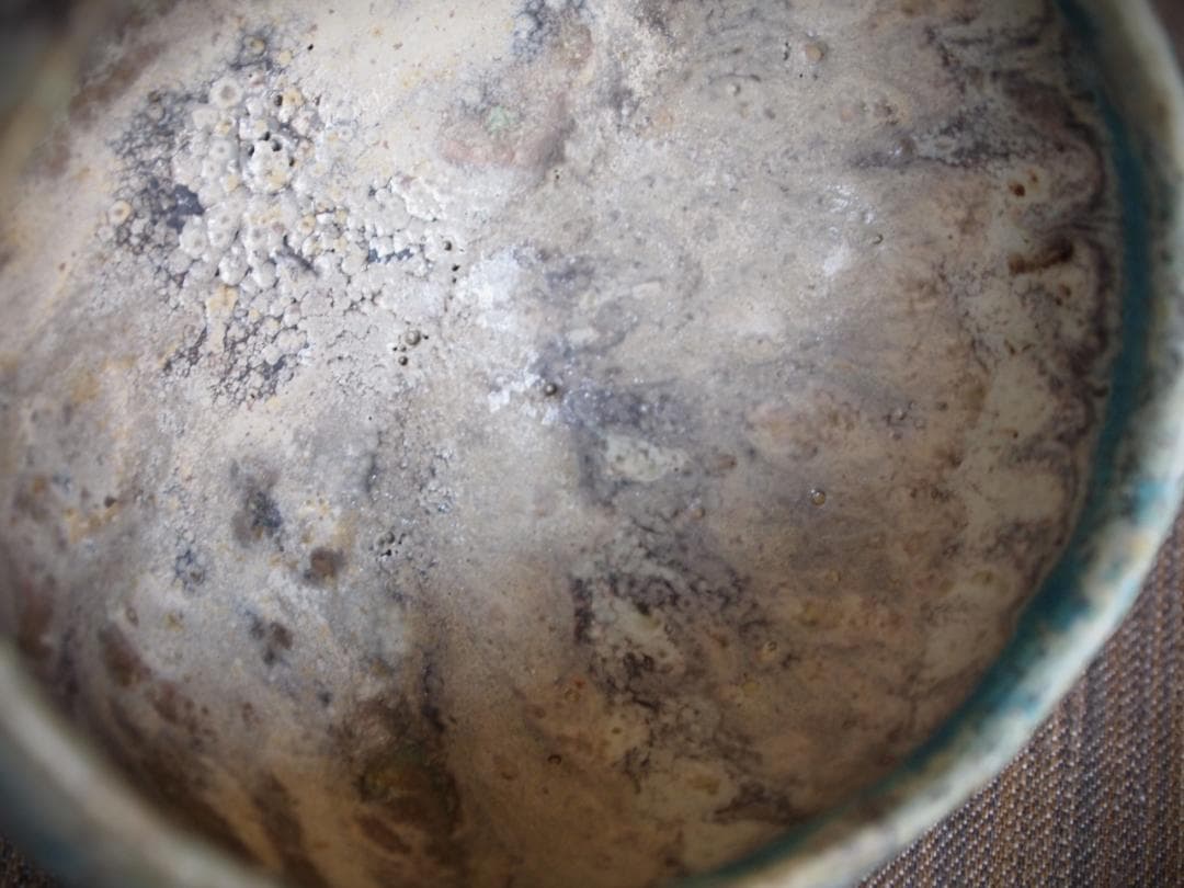 人気作家★金澤尚宜★てびねり（モーンガータ）茶碗★あよお