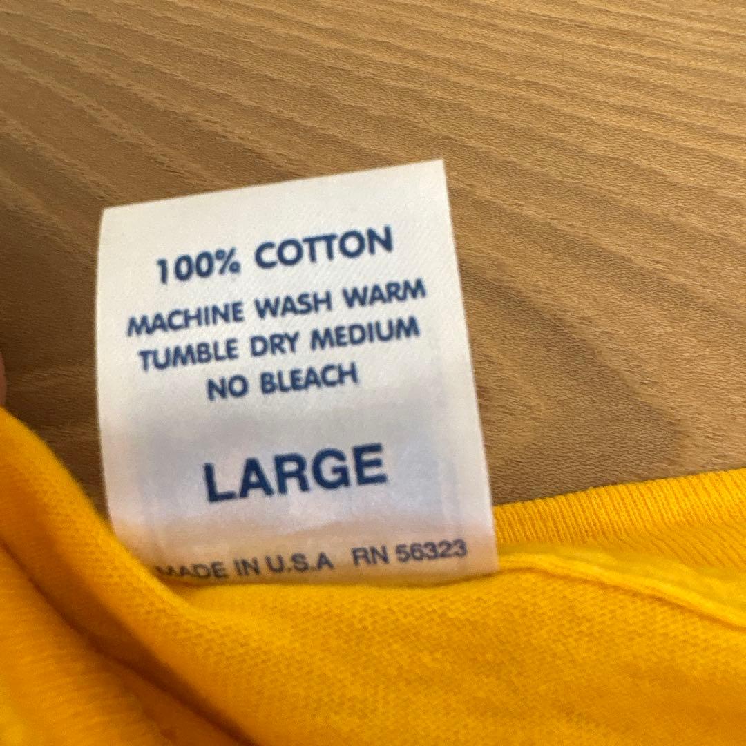 と*ん様 NIKE 浮世絵 Tシャツ80s シングルステッチ Cascade R