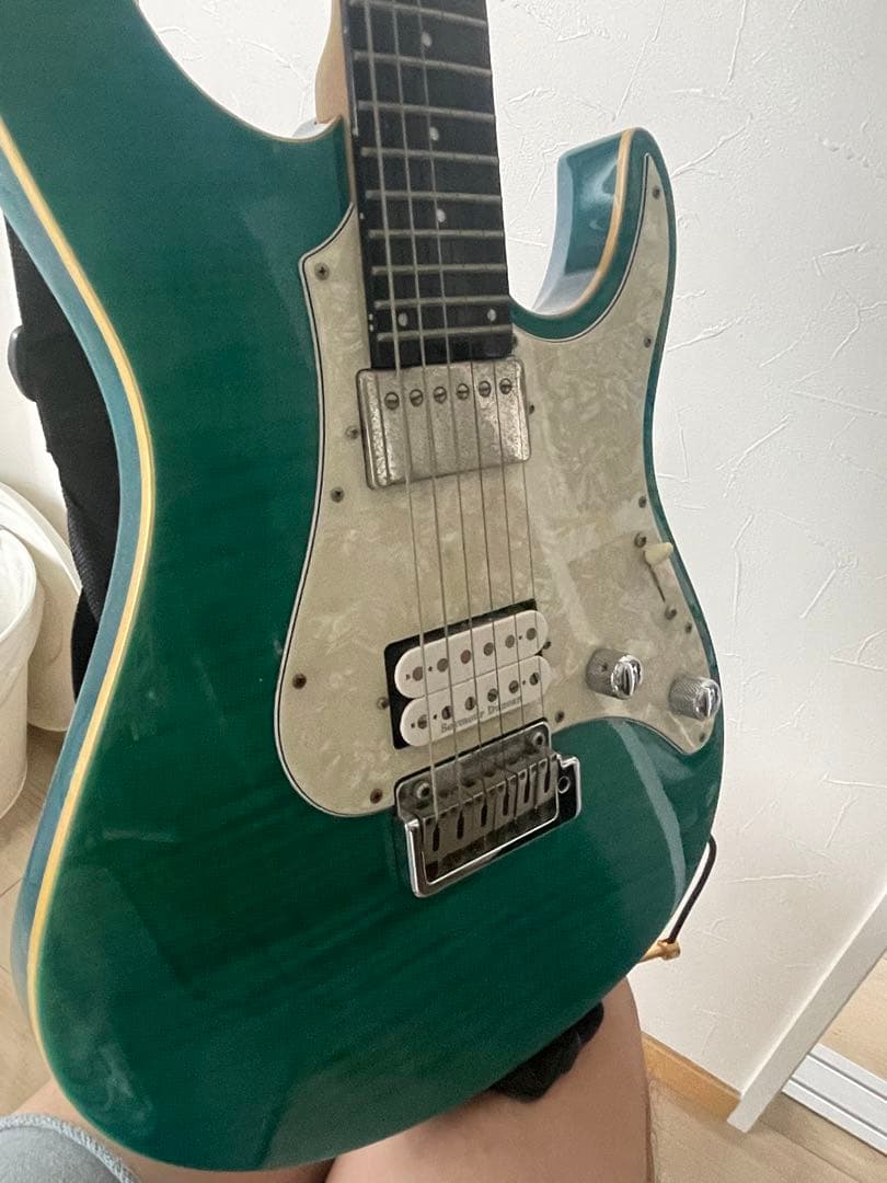 ギター Edwards Snapper E-SN-120