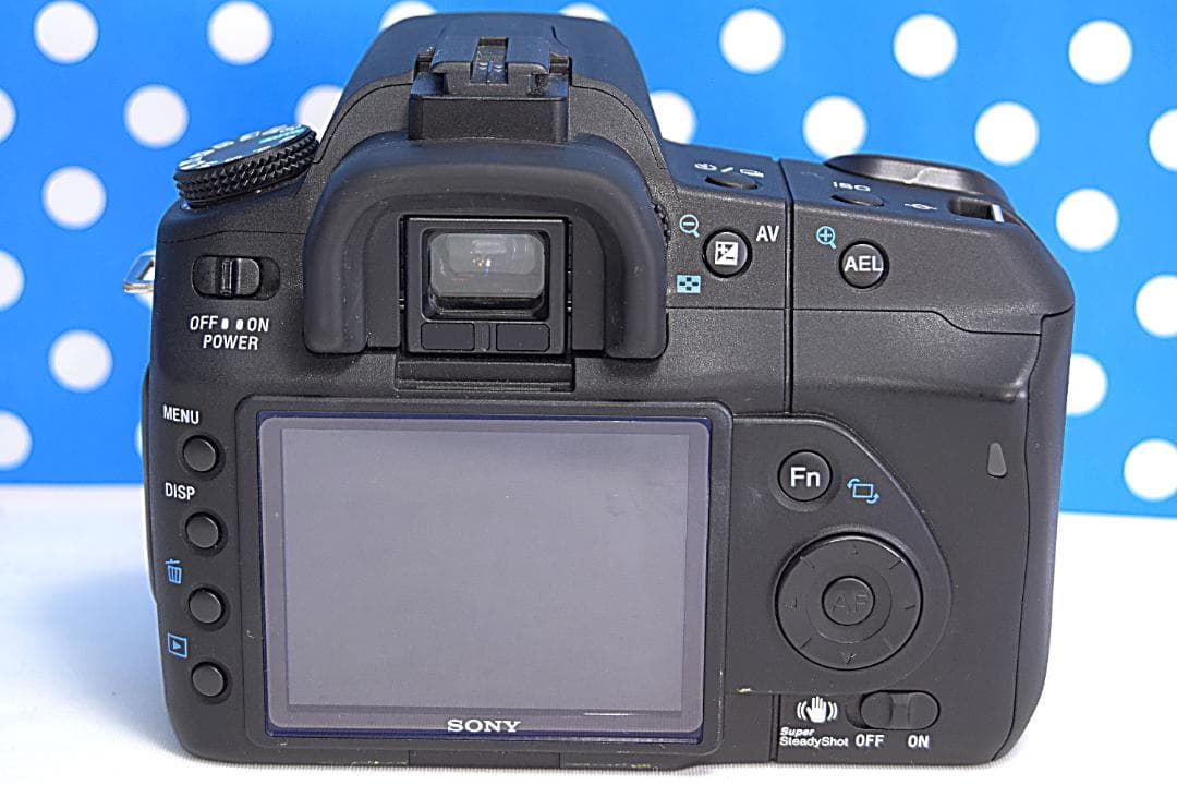 ✨美品✨❤初心者オススメ❤✨スマホ転送OK✨SONYソニーα200✨