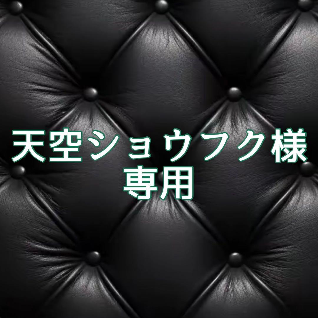 『天空ショウフク様』 専用