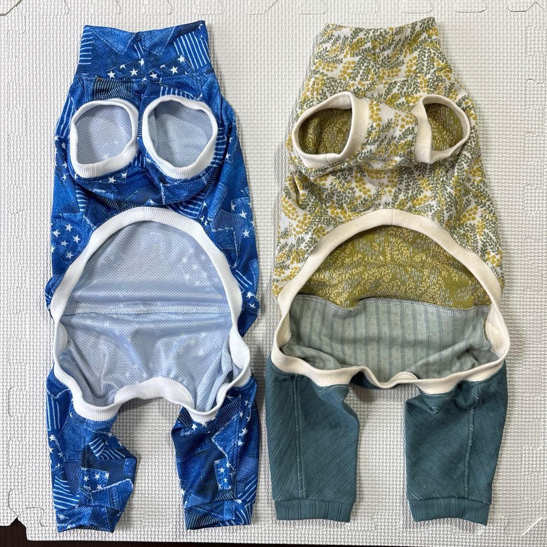 犬服　イタグレ服