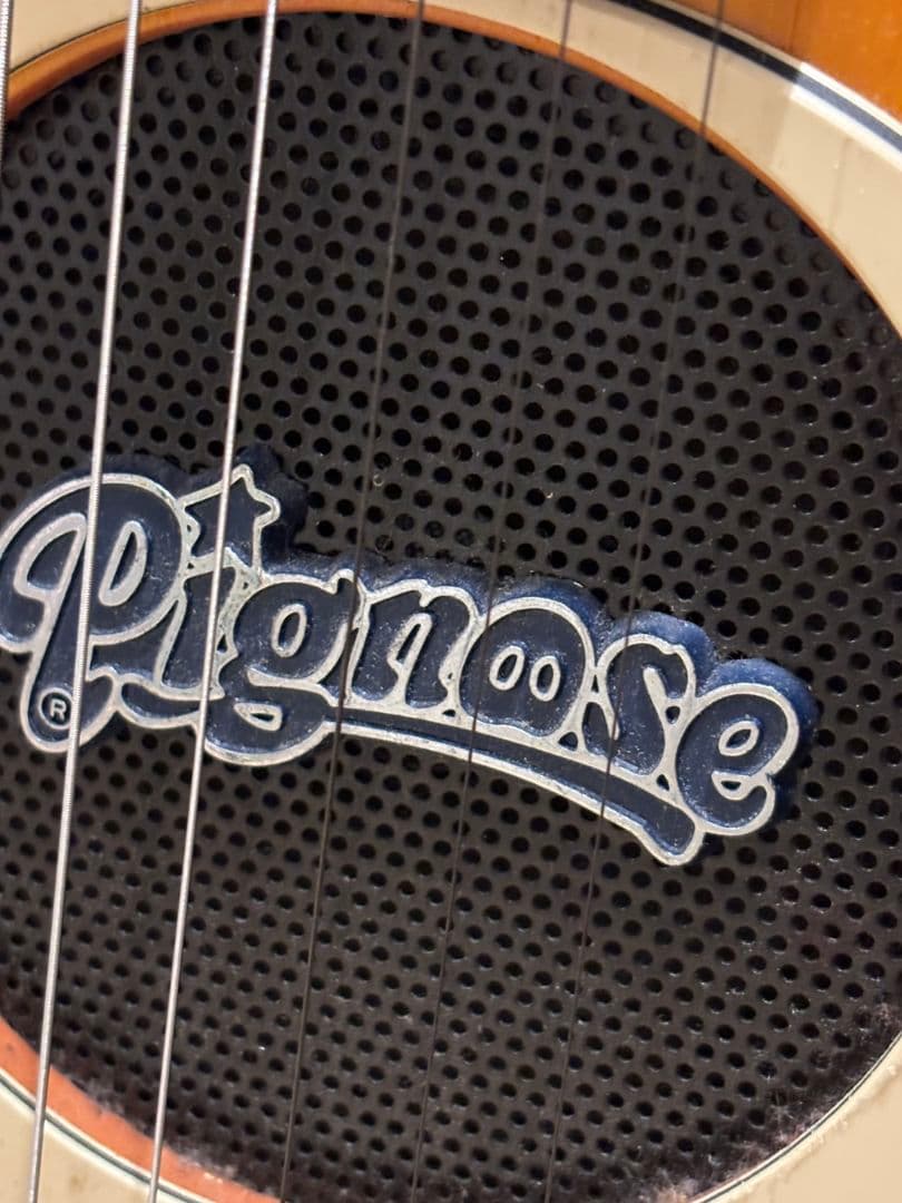 Pignose アンプ内臓型ギター