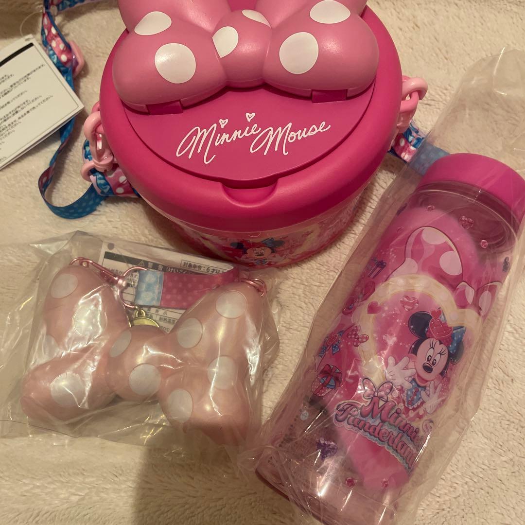 ミニー　ポップコーンバスケット　スーベニア　ディズニーパルパルーザ