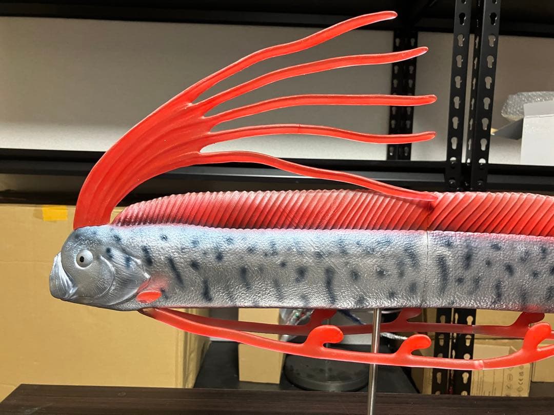 ディギ　リュウグウノツカイ