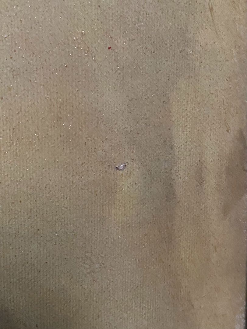 ポール・シャバ　九月の朝 インテリア 額縁