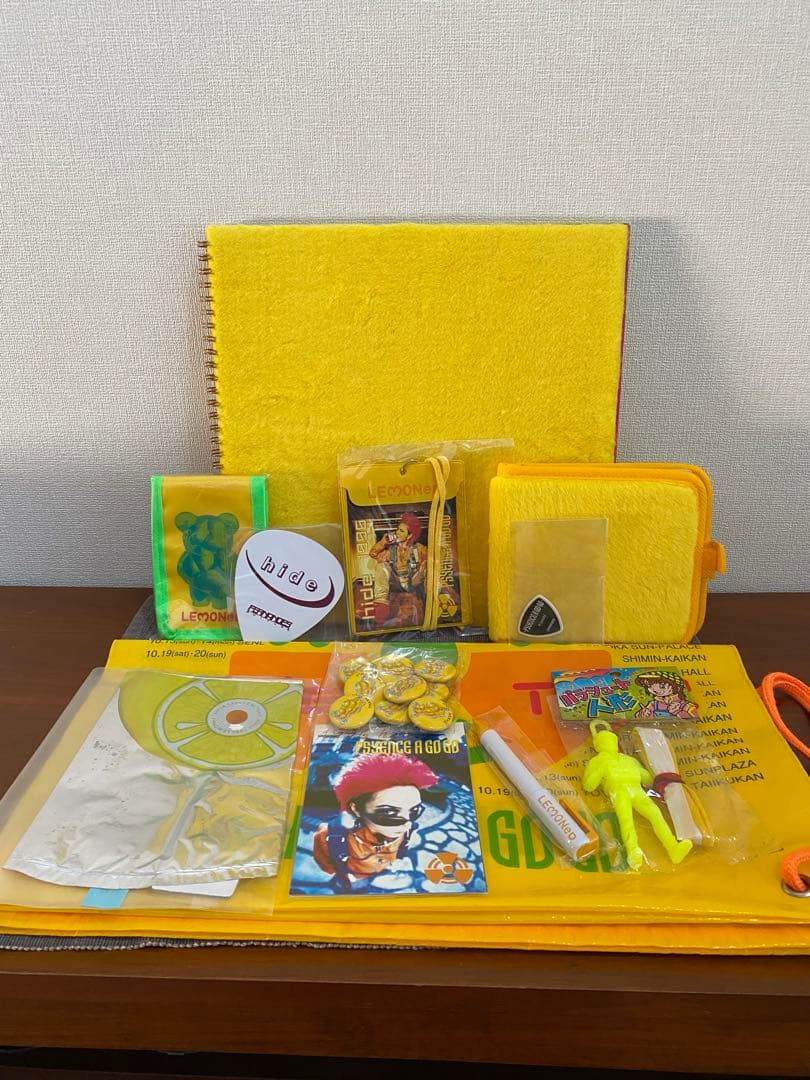 y*e様 hide -PSYENCE A GO GO-」のツアーグッズセット12