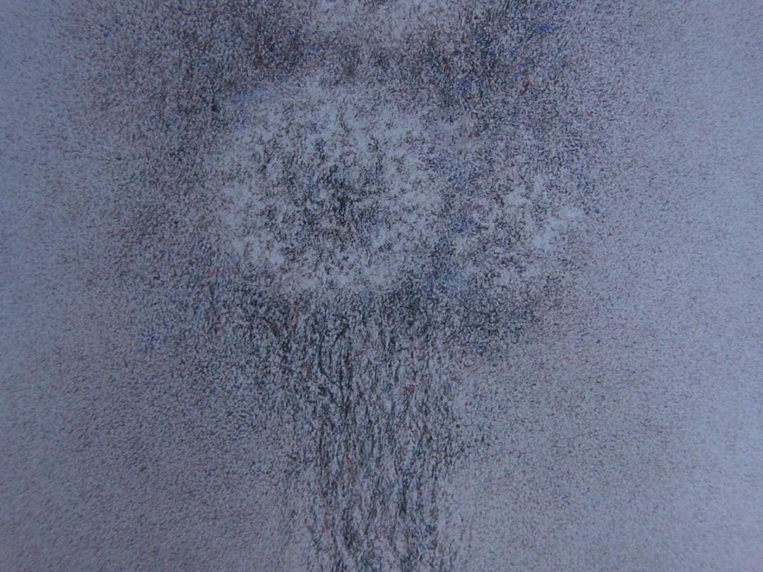 高山辰雄、【牡丹　洛陽の朝】、希少な額装用画集より、新品額装付